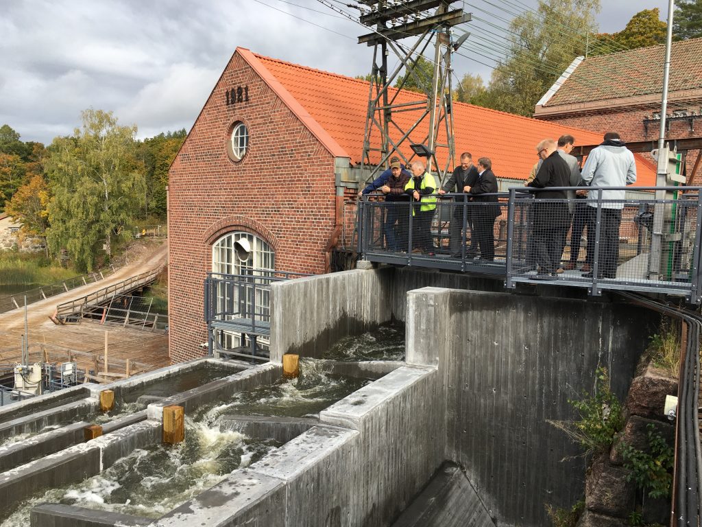 Billnäs fiskevägs öppningsfest. Personer står och tittar ner på vattnet som strömmar ner för fiskevägen.