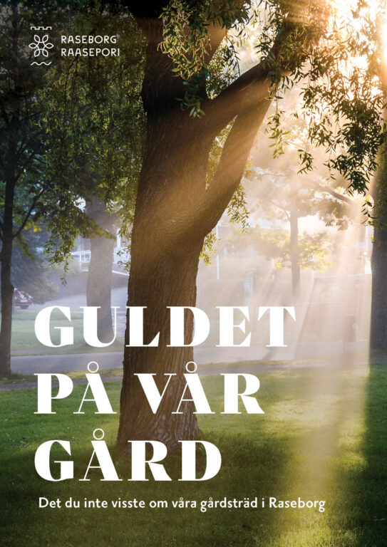 Grön parkbild med träd och solen som kommer igenom trädkronan. Guldet på vår gård - Det du inte visste om våra gårdsträd med vit text.