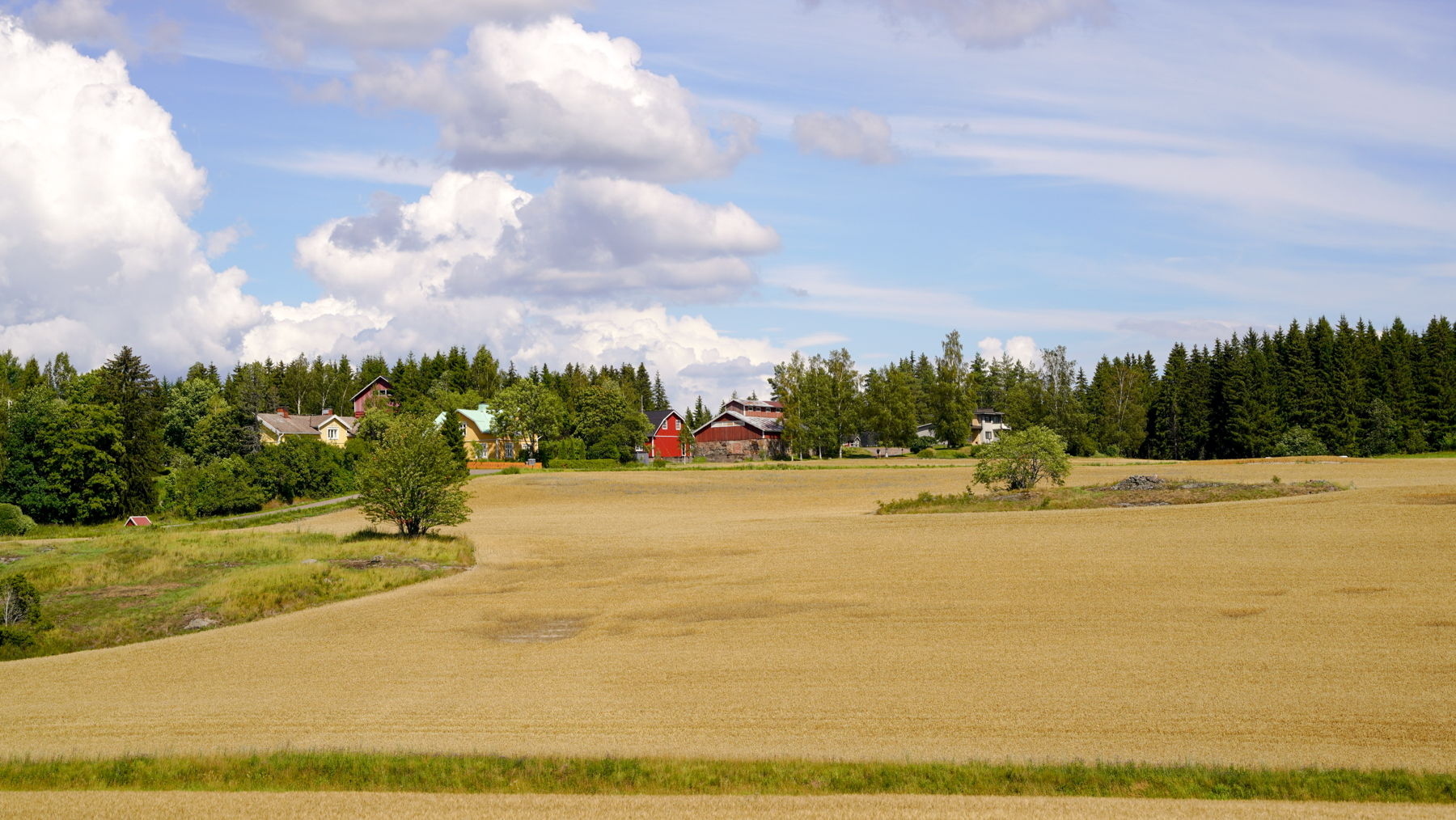 Vy över en åker