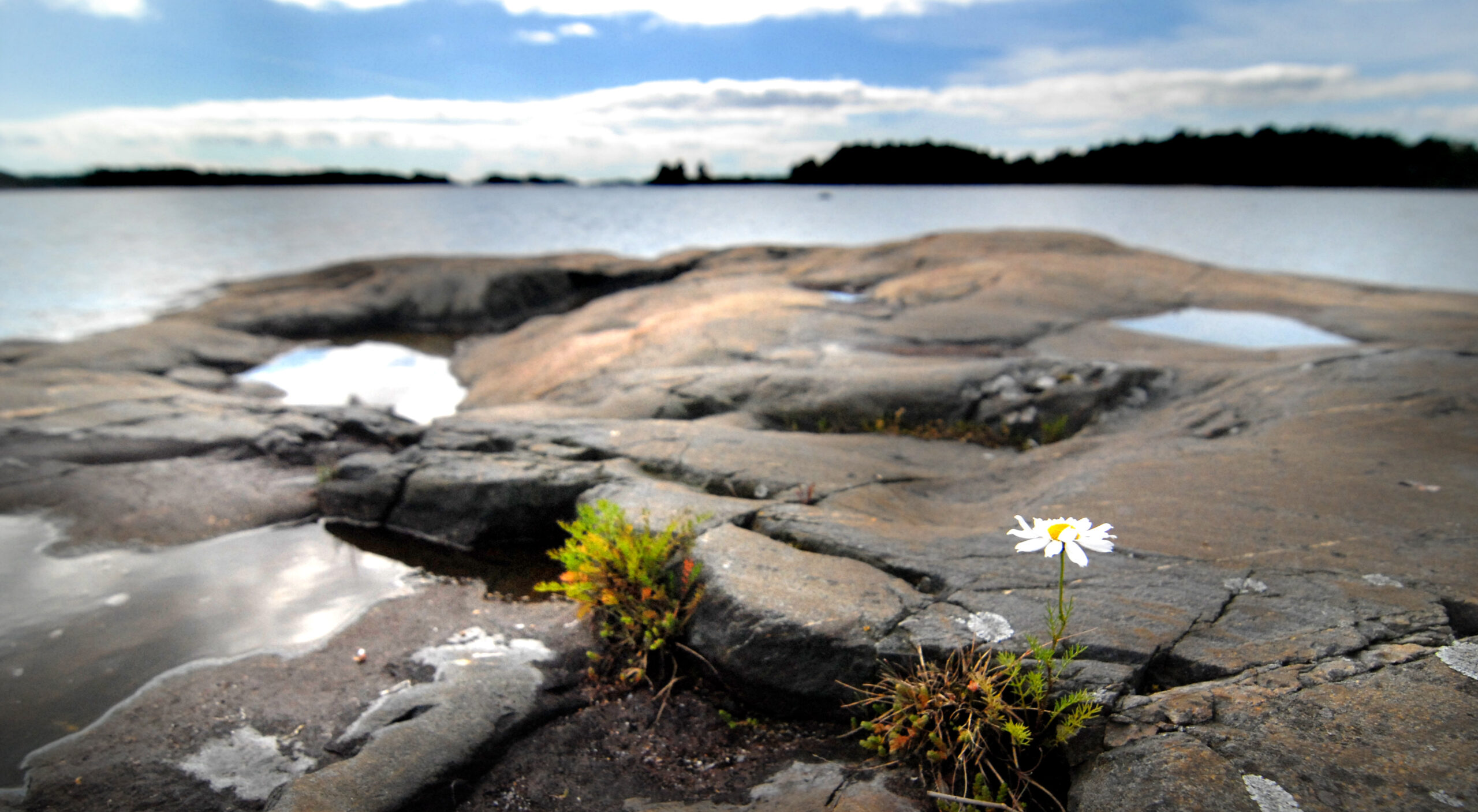 Trevlig sommar önskar Raseborgs stads ungdomstjänster! - Raseborg