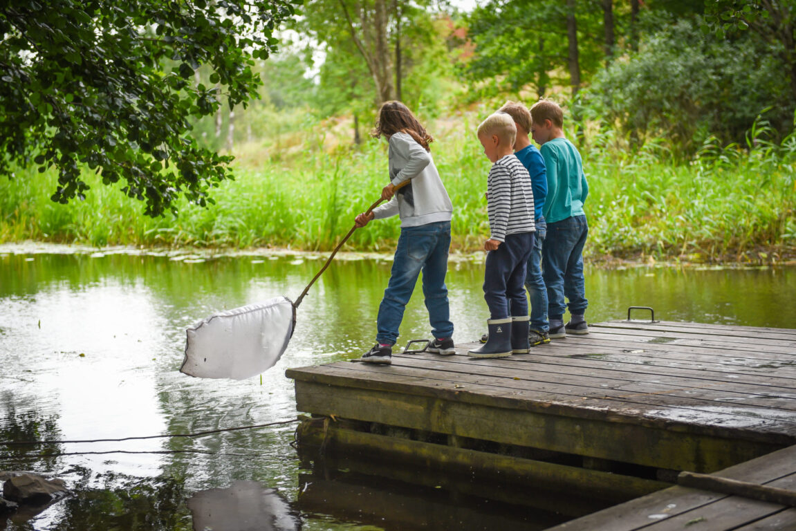 Fyra barn står på en brygga och fiskar med en håv.
