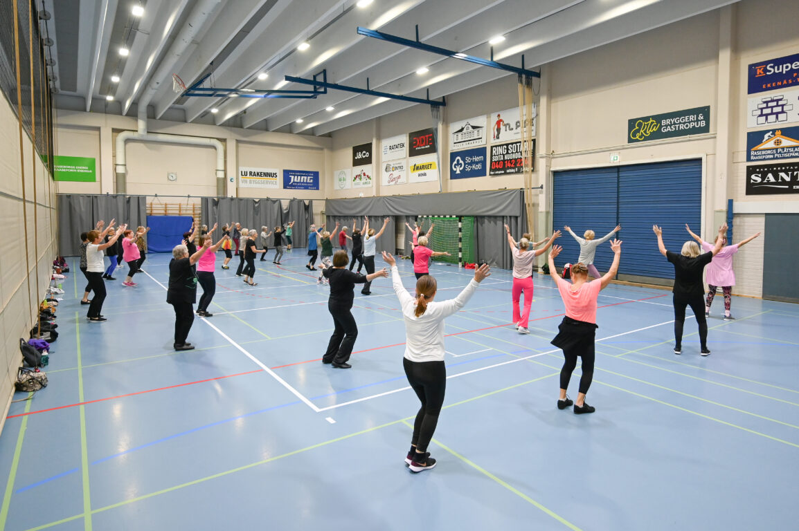 ledd cerksamhet_ohjattu toiminta