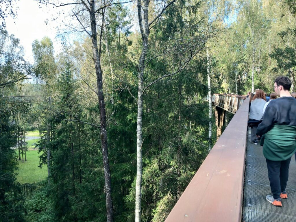 Opiskelijat kävelevät puiden tasalla sillalla.