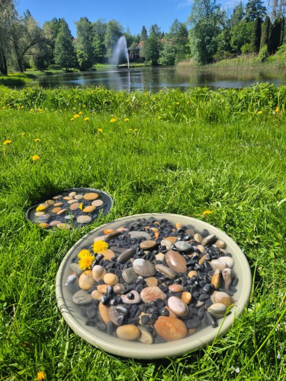 Grodbad på en gräsmatta. Sammakkokylpy nurmikolla.