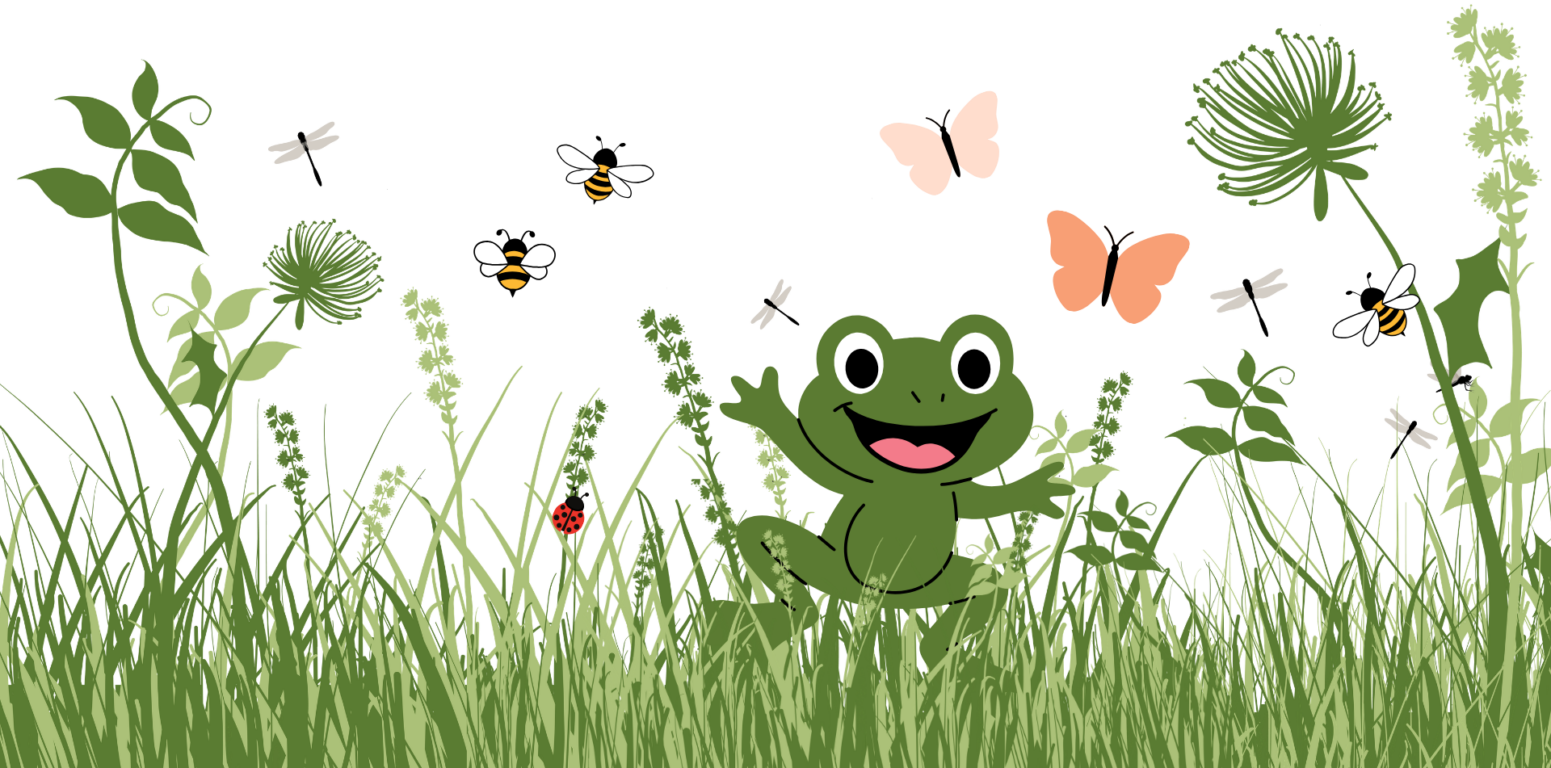 Illustration av groda och olika insektier på en äng - kuvitus sammakosta ja eri hyönteisitä niityllä