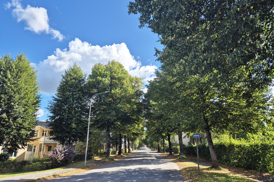 Karisvägen